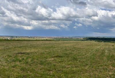 Teren Construcții intravilan de 1884 mp, în Cordău