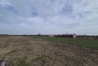 Caciulati, vanzare casa 3 camere la rosu, 400mp. teren - 10