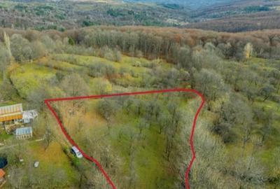 Teren intravilan 4.384 mp | 65 ml deschidere | Talea, Prahova | 47.000 € - 3