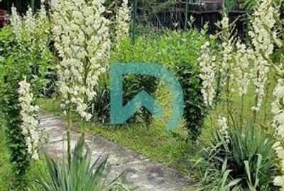 Casa Breaza,  judetul Prahova - 8