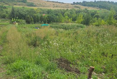 Vand teren intravilan,strada Budiului, 2 parcele,   total 5000 mp,neconstruibil. - 2