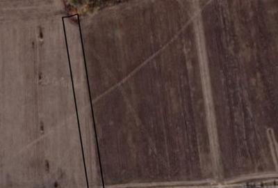 Vanzare teren Sabareni, 5.000 mp, langa Padurea de Tei - 1