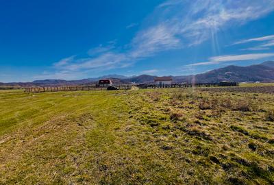 Teren intravilan Râșnov – Glejerie  5 parcele x 1000 mp  Capăt Str. Greierilor - 1