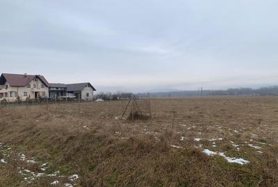 Cedare concesiune teren 2.000 mp | Todirești (Părhăuți) - 6