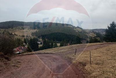 Teren de vanzare în inima Apusenilor –  6.500 mp Arieșeni - 15