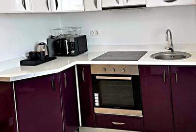 Garsoniera Copou-Sarariei, etaj intermediar, mobilat si utilat - 4