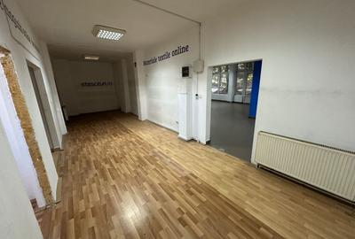 Spatiu comercial Calea Aradului - 14