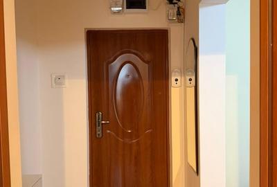 Vand apartment utilat si mobilat in Arad, Vlaicu - 2