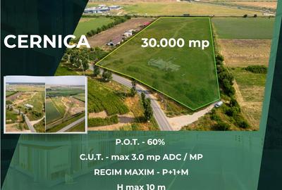 Teren de 30.000 mp în Cernica – pentru Dezvoltare Rezidențială sau Industriala - 1
