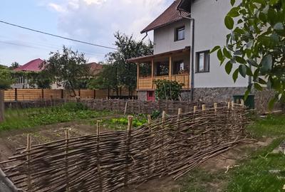 Casa Slanic Arges 5 camere - 16