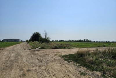 Teren intravilan, 12.200mp, Balotesti, oportunitate de investitie - 5