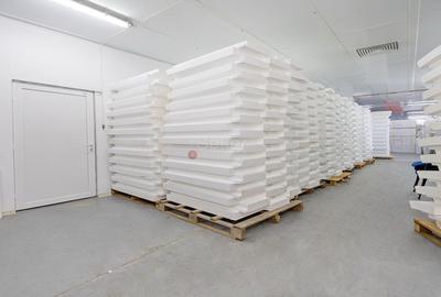 Platformă industrială cu 2 hale și sediu administrativ – teren 3.871 m - 10