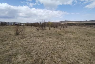 Teren Construcții intravilan de 13783 mp, în Luna de Sus