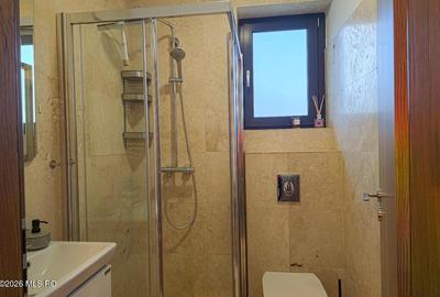 Mosnita - Str Faget, Casa Individuala, 3 Dormitoare, Birou, Lot 600 mp - 9