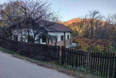 Iedera, Cricovul Dulce, casa de vanzare 90mp, teren 2450mp - 18