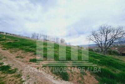 Teren Construcții intravilan de 630 mp, în Cetate