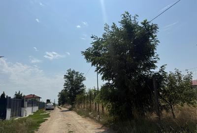 TEREN IN VALEA URSULUI, STR. PETALELOR 612 MP - 3
