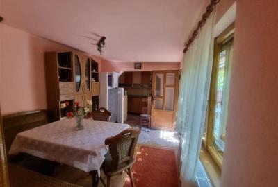 CASA DE VANZARE IN SERCAITA - 9