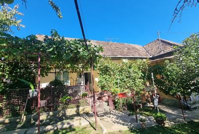 Casa 4 camere + teren 7500 mp - 16