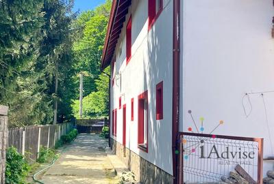 Vanzare Casa Timisul de Jos - 4