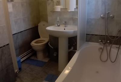 Apartament 3 Camere,B-dul Unirii,DUPLEX,DECOMANDAT,centrala,2 bai,parcare - 17