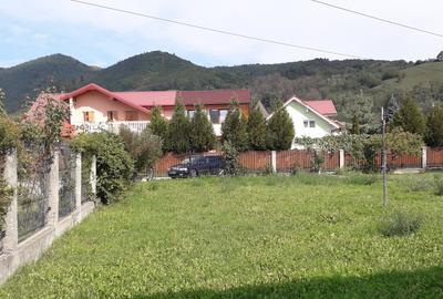 Vila 220 mp si teren aferent 5620 mp. zona Ursulet Piatra Neamt