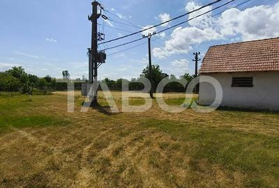 Platforma industriala cu cladiri de vanzare in Salistea de Alba - 7