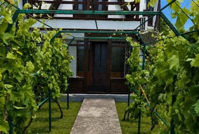 Trăiește in inima Deltei Dunării - Casă de vacanță exclusivă - 3