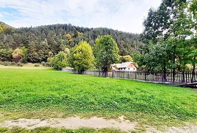 Teren superb de 16240mp, parcelabil, in Bran la intrare in Moeciu de Jos - 8