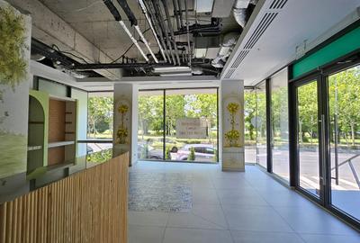 Parter cu acces individual - Calea Floreasca - 4