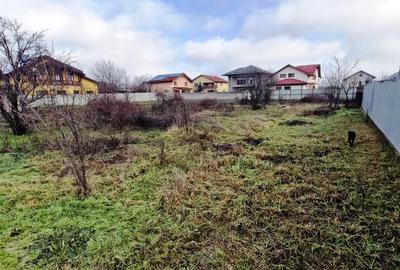 Buftea-Independentei - 6