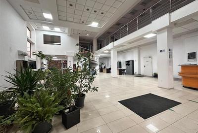 Spatii comerciale 330, 505, 835mp, sos. Pacurari, rond Mall Moldova - 7