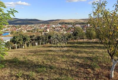 Teren agricol intravilan de 730 mp, în Sud-Vest