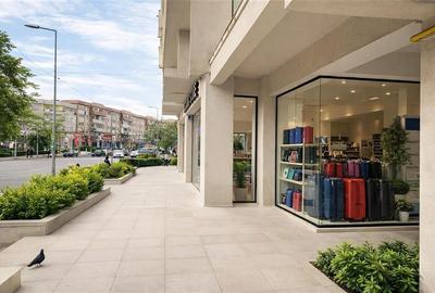 Spatiul Comercial, compartimentabil si in 3 unitati, cu acces separat, Central, - 7