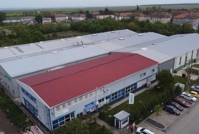 Hală producție/ depozitare de inchiriat Buziaș, Timiș - 1
