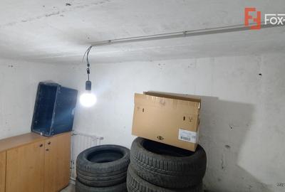 Casa individuala cu 4 camere, Sacalaz - Pivnita la demisol cu 5 incaperi - 21