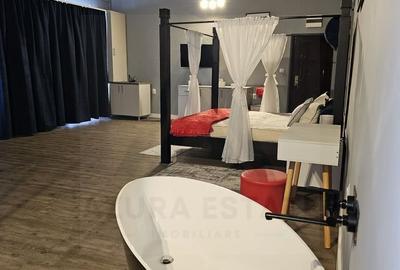 Garsoniera regim hotelier sau spatiu comercial 46 mp utili Terezian - 7