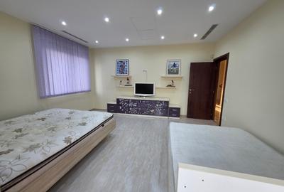 Timpuri Noi, 10 minute metrou, pe Cuza Voda, vila exclusivista P+1+M, lux, - 36