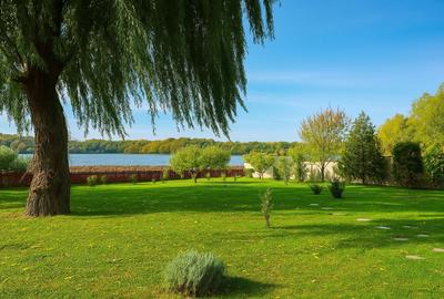 Casă individuală cu 7 camere în Snagov