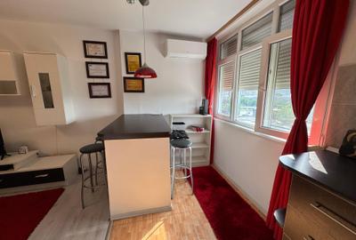 Apartament cu o camera Pod Piatra/Cantemir - 7