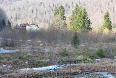 De vanzare teren intravilan AZUGA - 19