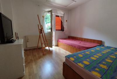 CASĂ DE VÂNZARE ÎN POUANA MĂRULUI,JUD. CARAȘ-SEVERIN - 5