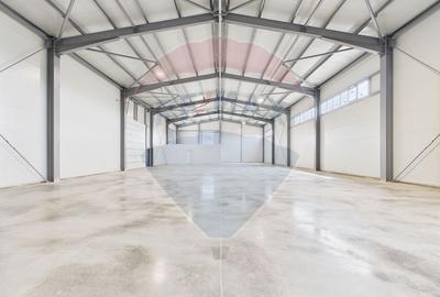 Spațiu industrial de 600mp de închiriat în zona Traian - 19