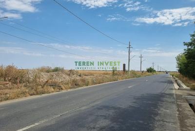 TEREN INDUSTRIAL 20.000 MP - TANGANU - A2 PUZ APROBAT - 1