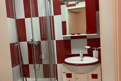 Duplex 3 camere de inchiriat, mobilat complet, Drumul Taberei - 3