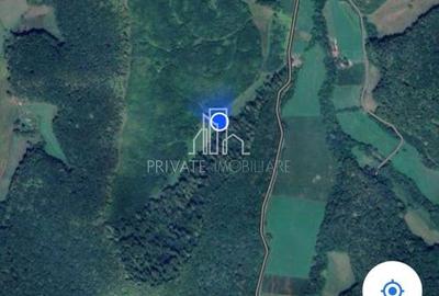 Teren de vanzare, 20.000Mp , Comuna Danes, drumul Crisului - 3