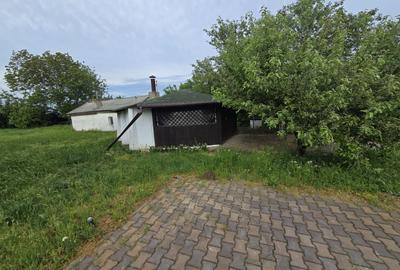 Teren 6500 MP, Plus Cladire Multifunctionala de vanzare - 5