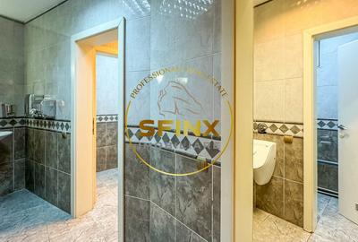 Cladire Birouri Piata Victoriei - Titulescu - 21