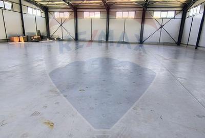 Spațiu industrial hala 597 Mp de inchiriat Ciorogarla - 7