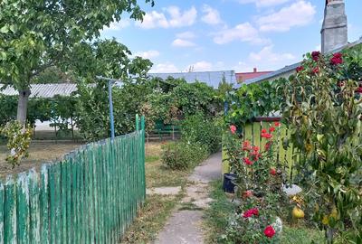Casă de vânzare Munteni-Buzău județul Ialomița gata de locuit - 11